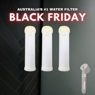 Shower Filter Refills