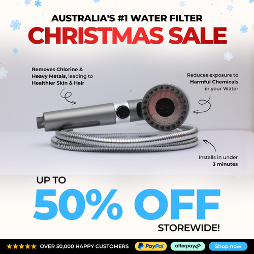 InFlow Shower Filter