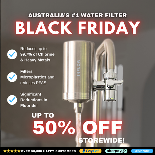 Stainless Steel Pro Filter