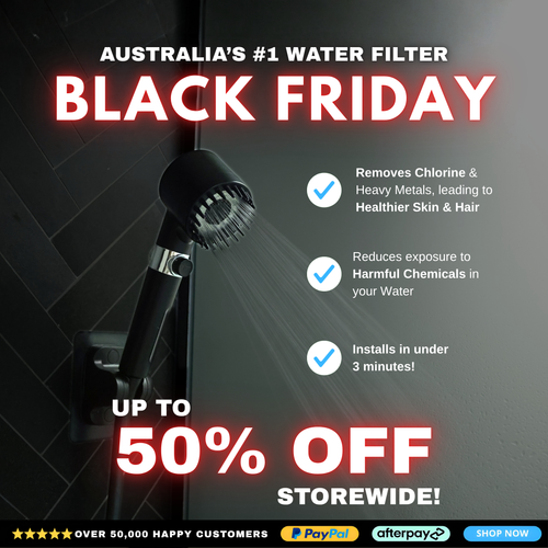 InFlow Shower Filter