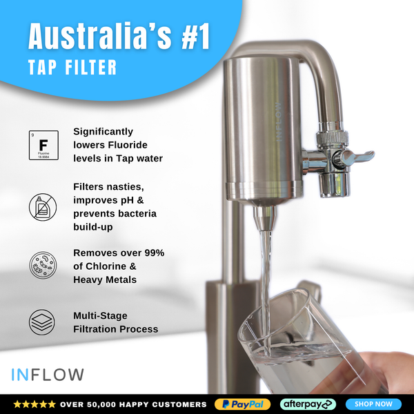 Stainless Steel Pro Filter