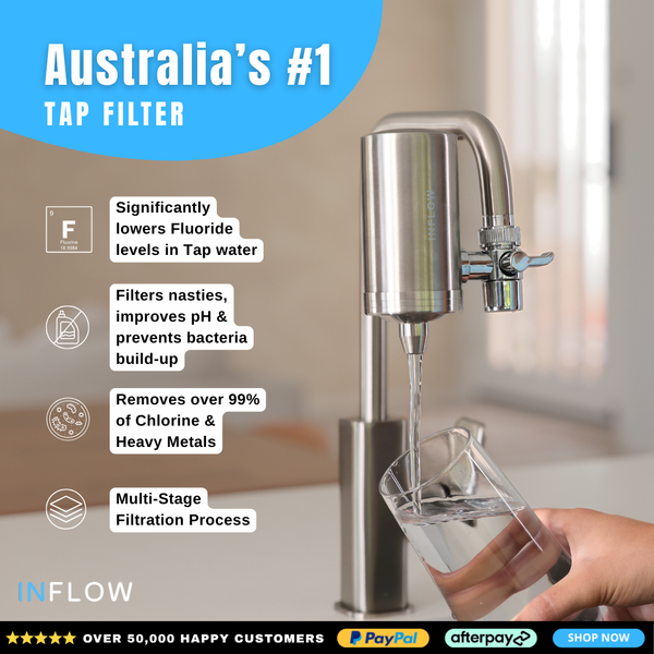 Stainless Steel Pro Filter