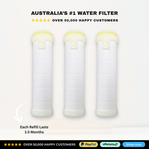 Shower Filter Refills